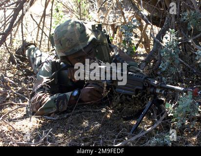 Una Marina statunitense del 1st battaglione, 3rd Marines, Weapons Company, armata con un'arma automatica (SAW) a M249 squadre, si trova in posizione prona durante un esercizio di allenamento presso la Pohakuloa Training Area sulla Big Island delle Hawaii. Base: Pohakulua Training Area Stato: Hawaii (HI) Paese: Stati Uniti d'America (USA) Foto Stock