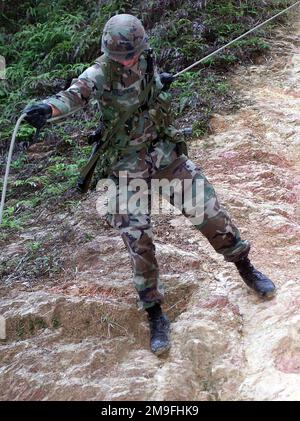 Wilganowski con la 3D Marine Division Communication Company, si ribella su una scogliera scivolosa presso il Jungle Warfare Training Center (JWTC), Camp Courtney, Okinawa, Giappone. Il JWTC è un'area di allenamento in cui Marines si esibisce in abilità di navigazione terrestre, tattiche di pattugliamento, ricognizione con la forza e abilità di sopravvivenza nella giungla. Subject Operation/Series: FOAL EAGLE 2000 base: Camp Courtney Stato: Okinawa Paese: Giappone (JPN) Foto Stock