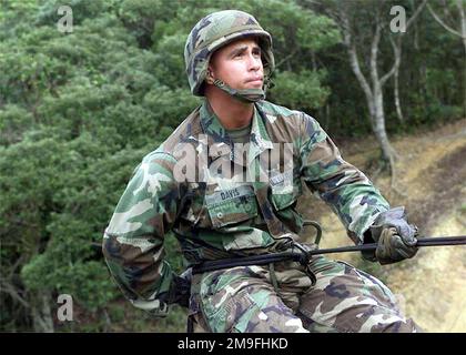 Il secondo tenente del corpo marino DEGLI STATI UNITI (2LT) Patrick B. Davis con 3D Marine Division Communication Company, dimostra le posizioni di mano corrette, mentre si prepara a respingere al Jungle Warfare Training Center (JWTC), Camp Courtney, Okinawa, Giappone. Il JWTC è un'area di addestramento in cui si prevede che Marines esegua abilità di navigazione terrestre, tattiche di pattugliamento, ricognizione con forza e abilità di sopravvivenza nella giungla. Subject Operation/Series: FOAL EAGLE 2000 base: Camp Courtney Stato: Okinawa Paese: Giappone (JPN) Foto Stock