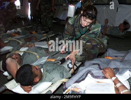 IL Capitano dell'aeronautica DEGLI STATI UNITI Joanne Peros, 146th Squadron di evacuazione aeronautica, 146th Ala di sollevamento dell'aria, la Guardia Nazionale dell'aria della California (CANG), controlla su un paziente che attende l'evac dell'aria durante un'esercitazione di massa di incidente nel deserto di Atacama del Cile del nord. L'esercizio è stato un evento congiunto che ha coinvolto il CANG, il personale del Wilford Hall Medical Center e l'unità di evac aereo della Fuerza Aerea de Chile. Paese: Cile (CHL) Foto Stock