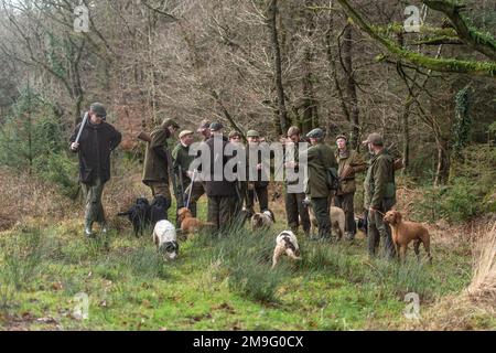 cacciatori e loro cani Foto Stock