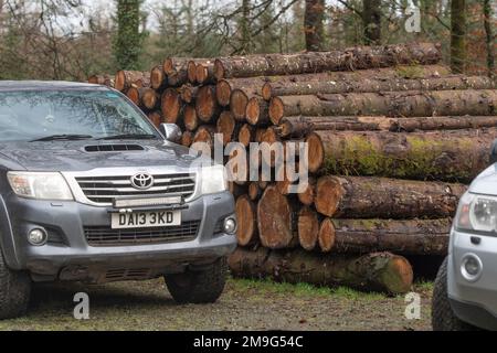 4x4 Toyota in foresta con tronchi Foto Stock