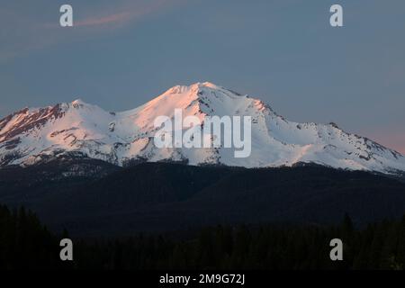 Vista del Monte Shasta, Siskiyou County, California, Stati Uniti d'America Foto Stock