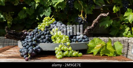 decorazione di grappoli di uve bianche e blu su scala con rami di uva Foto Stock