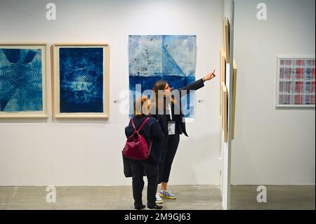 Pezzi d'arte contemporanea all'Artissima vernissage della fiera principale per collezionisti d'arte moderna di Torino Foto Stock
