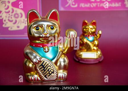 cinese nuovo anno 2023 anno del coniglio con Maneki Neko beckoning gatto fortunato wonding Foto Stock