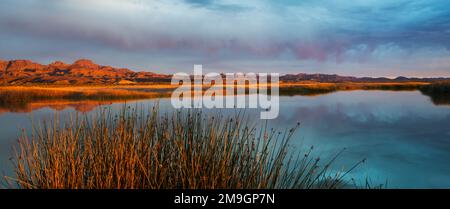 Paesaggio con vista della palude della miniera di Hart al tramonto, il deserto di sonora, la riserva naturale nazionale di Cibola, Arizona, USA Foto Stock