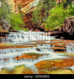 Arcangelo cascades sulla forcella sinistra north creek lungo il percorso verso la metropolitana in parco nazionale Zion, Utah Foto Stock