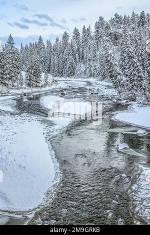 Lamar fiume in inverno al di sopra di slough creek nel parco nazionale di Yellowstone, wyoming Foto Stock