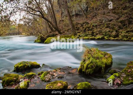 65045-01120 Big Spring in autunno, Ozark National Scenic Riverways vicino a Van Buren, Missouri Foto Stock