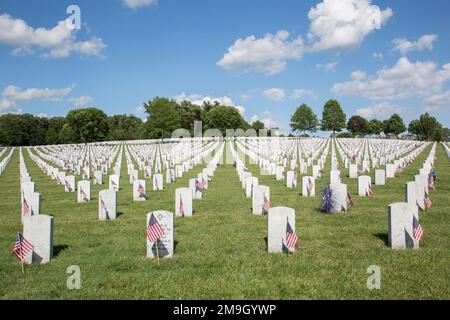 65095-02618 Gravestones al Jefferson Barracks National Cemetery St Louis, Missouri Foto Stock