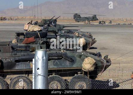 Tre Marine LAV-25s (Light Armored Vehicle-25) con il secondo Battaglione di ricognizione con armatura leggera, 26th unità di spedizione marina (Special Operations Capable), parcheggiata sulla rampa presso l'aeroporto internazionale di Kandahar, Kandahar, Afghanistan, durante L'OPERAZIONE CHE PERDURERÀ LA LIBERTÀ. Sullo sfondo si trova un Army CH-47 Chinook. Oggetto operazione/Serie: ENDURING FREEDOM base: Aeroporto internazionale di Kandahar Paese: Afghanistan (AFG) scena comando maggiore mostrato: 26 MEU Foto Stock