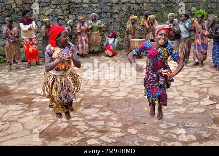 La gente di Echuya Batwa, spesso conosciuta come pygmies, che ballava nell'Uganda sudoccidentale. Foto Stock