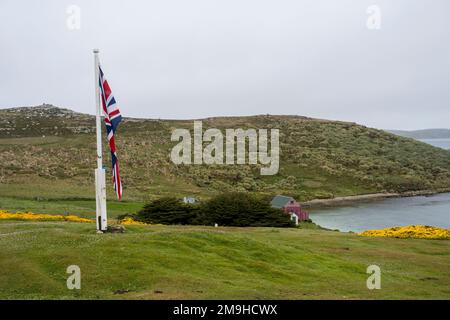 La bandiera britannica (Union Jack) vola all'insediamento di West Point Island, un'isola delle Falkland occidentali. Foto Stock