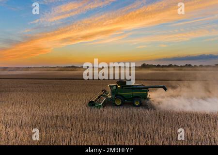 Vista aerea delle mietitrebbia che raccolgono soia al tramonto, Marion County, Illinois, USA Foto Stock