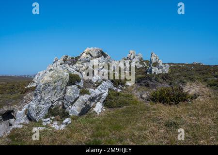 Vista delle formazioni rocciose a Gypsy Cove vicino a Port Stanley, Isole Falkland. Foto Stock