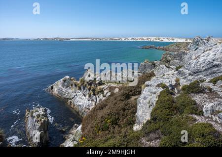 Vista delle formazioni rocciose a Gypsy Cove vicino a Port Stanley, Isole Falkland. Foto Stock