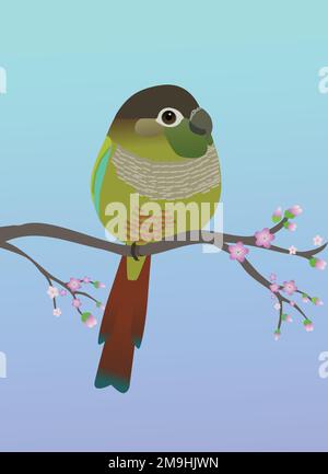 Una guancia verde molto carino uccello conure a forma di uovo. Sfondo sfumato blu chiaro viola. L'uccello è arroccato su un ramo con fiori rosa. Illustrazione Vettoriale