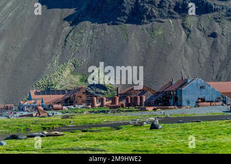 Vista della stazione di caccia alle balene abbandonata a Stromness Bay, sulla costa settentrionale dell'isola della Georgia meridionale, nell'Atlantico meridionale. Foto Stock