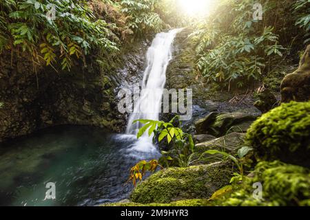 Cascata fluente con un laghetto nella foresta dell'isola di São Jorge, Azzorre Foto Stock