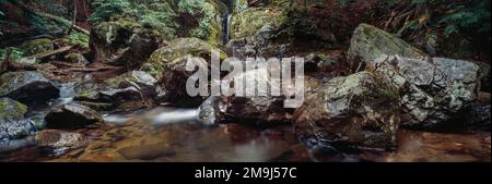 Paesaggio con Big Pup Falls, Michigan, Stati Uniti Foto Stock