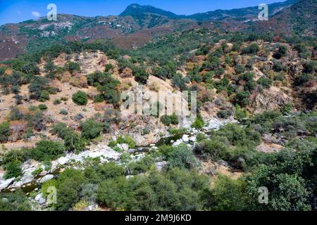 Vista sulla valle del fiume Kaweah in tre fiumi, parco nazionale degli alberi di sequoia, USAtrees nel parco nazionale di Sequoia, USA Foto Stock