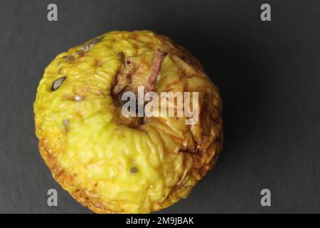 una vecchia mela secca grinzita su sfondo nero. Cibi brutti. Cibo di frutta rovinato cattivo. Foto Stock