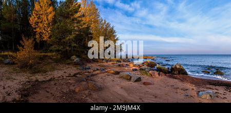 Rocce sulla costa, Parco Nazionale di Lahemaa, Mar Baltico, Estonia Foto Stock