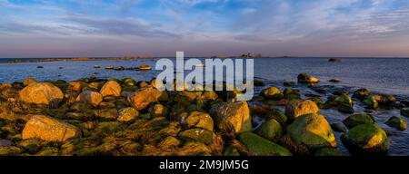 Rocce sulla costa, Parco Nazionale di Lahemaa, Mar Baltico, Estonia Foto Stock