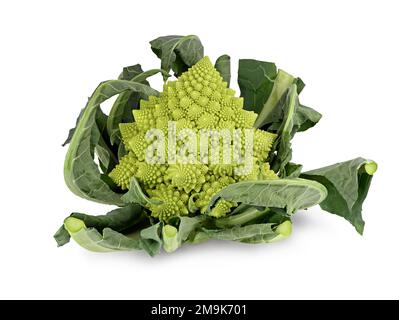 Romanesco broccoli o cavolfiore romano con foglie isolate su fondo bianco Foto Stock