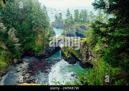 Insenatura con arco naturale, Samuel H. Boardman state Scenic Corridor, Oregon, USA Foto Stock