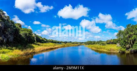 Paesaggio con il fiume Myakka River state Park, Sarasota, Florida, Stati Uniti Foto Stock