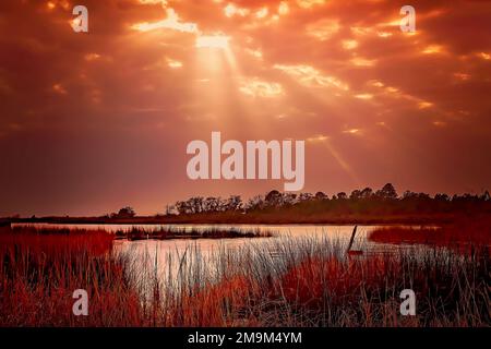 Il sole tramonta sull'erba paludosa, il 17 gennaio 2023, a Bayou la Batre, Alabama. Le zone umide costiere della zona costituiscono un habitat importante dal punto di vista ecologico. Foto Stock
