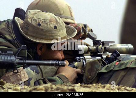 US Marine Corps (USMC) Lance Corporal Juan Vella, assegnato come un cecchino con 1st battaglione, 4th Marine Regiment, Regimental Combat Team 1 (RCT-1), osserva attraverso il telescopio montato in cima al suo fucile da cecchino 7,62mm M40A1. US Navy (USN) Hospitalman (HN) Clint Sprabary agisce come suo spoter, ad al Shur, Iraq, durante l'operazione IRACHENA LIBERTÀ. Soggetto operativo/Serie: LIBERTÀ IRACHENA Paese: Iraq (IRQ) Foto Stock