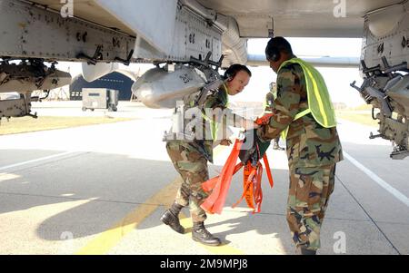 US Air Force (USAF) STAFF Sergente (SSGT) Nathaniel R. Terry (sinistra), Crewchief, con USAF AIRMAN prima Classe (A1C) Christopher L. riso, Weapons Loader, 52nd Aircraft Maintenance Squadron (AMXS), Tira i perni ed esegui gli ultimi controlli di un A-10 Thunderbolt II alla fine della pista prima che l'aereo entri nella pista della base aerea di Spangdahlem (AB), Germania. Base: Spangdahlem Air base Stato: Rheinland-Pfalz Paese: Deutschland / Germania (DEU) Foto Stock