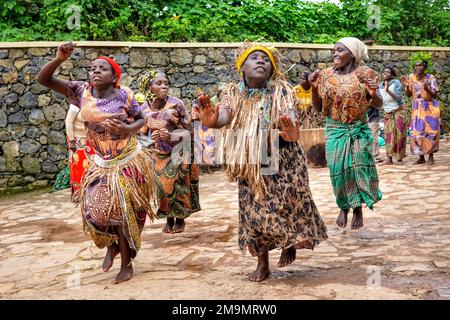 La gente di Echuya Batwa, spesso conosciuta come pygmies, che ballava nell'Uganda sudoccidentale. Foto Stock