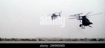 Due elicotteri AH-6J Little Bird dell'esercito americano (USA) decollano per una missione in una posizione schierata in avanti nel sud dell'Iraq durante l'operazione LIBERTÀ IRACHENA. Soggetto operativo/Serie: LIBERTÀ IRACHENA Paese: Iraq (IRQ) Foto Stock