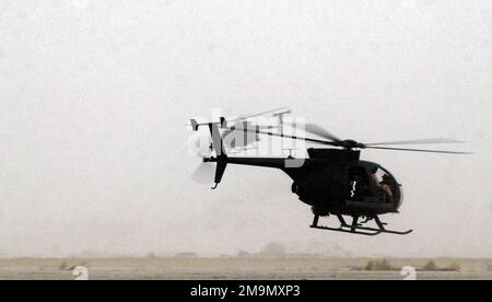 Due elicotteri AH-6J Little Bird dell'esercito americano (USA) decollano per una missione in una posizione schierata in avanti nel sud dell'Iraq durante l'operazione LIBERTÀ IRACHENA. Soggetto operativo/Serie: LIBERTÀ IRACHENA Paese: Iraq (IRQ) Foto Stock