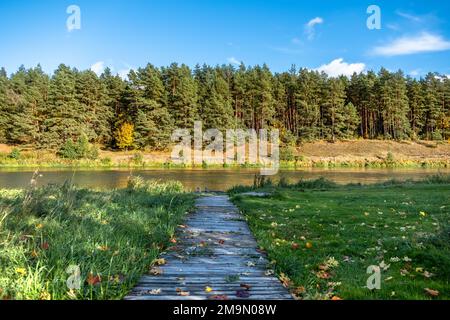 Un sentiero in legno coperto di foglie di acero autunnale caduto conduce al fiume, dall'altra parte del quale si trova una foresta autunnale Foto Stock