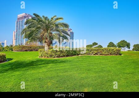 Parco Tobiary Zabeel con prato verde, palme lussureggianti, cespugli toiari e alberi ombrosi, Dubai, Emirati Arabi Uniti Foto Stock