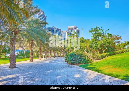 Camminate lungo il vicolo ombreggiato con palme, fiancheggiato da prato verde e da splendide piante del Parco Zabeel, Dubai, Emirati Arabi Uniti Foto Stock