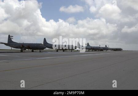 Derivati della Marina militare statunitense (USN) P-3 Orion che rappresenta la Royal Canadian Air Force (RCAF) CP-140 Aurora (a sinistra), 407th Maritime Patrol Squadron, British Columbia, E Royal Australian Air Force (RAAF) P-3C/AP-3C Orion, 92nd Wing, RAAF Maritime Patrol Group (MPG), RAAF Edinburgh, South Australia, siediti sulla linea di volo alla base dell'aeronautica militare Andersen (AFB), Guam. Alla fine della linea, un aeromobile USN P-3 Orion, Patrol Squadron 9 (VP-9), Marine Corps base Hawaii (MCBH), Kaneohe Bay, Hawaii. Gli aerei sono in stazione per partecipare all'esercizio congiunto TANDEM SUST 03, un comune USA, Canada Foto Stock