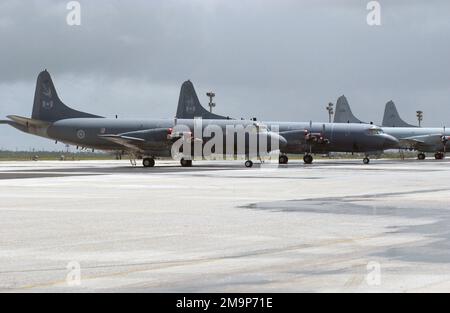 Derivati della Marina militare statunitense (USN) P-3 Orion che rappresenta la Royal Canadian Air Force (RCAF) CP-140 Aurora (a sinistra), 407th Maritime Patrol Squadron, British Columbia, E Royal Australian Air Force (RAAF) P-3C/AP-3C Orion, 92nd Wing, RAAF Maritime Patrol Group (MPG), RAAF Edinburgh, South Australia, siediti sulla linea di volo alla base dell'aeronautica militare Andersen (AFB), Guam. Gli aeromobili sono in stazione per partecipare all'esercizio congiunto TANDEM THRUST 03, un esercizio congiunto condotto negli Stati Uniti, in Canada e in Australia nelle isole Marianas, che include Guam e Tinian. Base: Andersen Air base Stato: Guam (GU) Co Foto Stock