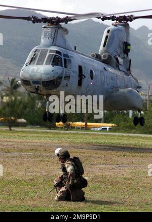 Caporale (CPL) Douglas Aleman, Gulf Company, 2nd battaglione, 11th Regimento Marino guarda come un cavaliere di mare CH-46 da Marine Medium Helicopter Squadron (HMM 262) atterra per raccogliere gli evacuati da un'operazione di evacuazione non combattente simulata (NEO), a sostegno dell'esercizio TANDEM SPINTA 2003. Oggetto/Serie: TANDEM THRUST 2003 Stato: Guam Paese: Isole Marianne Settentrionali (MNP) Foto Stock