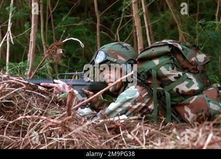 Corporale (CPL) Christopher Gonzales, 3rd Platoon, Weapons Company, 2nd Battaglione, 4th Marine Regiment guarda come un CH-53 Super Stallion atterra sull'Isola Tiniana, a sostegno dell'esercizio TANDEM SPINTA 2003. Soggetto operativo/Serie: TANDEM SPINTA 2003 base: Isola Tiniana Paese: Isole Marianne Settentrionali (MNP) Foto Stock