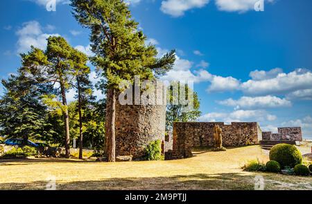 Destinazione Castello di Amoeneburg con statua Sanct Bonifatius in Assia Foto Stock