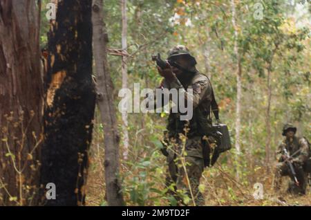 US Marine Corps (USMC) Lance Corporal (LCPL) Oda, Golf Company, 2nd Battaglione, 3rd Marine Regiment (2/3), spara un fucile d'assalto M16A2 da 5,56 mm contro il nemico durante l'allenamento COCCODRILLO 2003 a Shoalwater Bay Training Area, Australia. Subject Operation/Series: CROCODILE 2003 base: Camp Samuel Hill Stato: Queensland Paese: Australia (AUS) Foto Stock