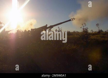 A Fort Bragg, North Carolina, il personale del corpo dei Marine degli Stati Uniti (USMC) con i 10th Marines, 2nd Marine Division, spara un giro di artiglieria di 96 libbre 155mm da un Howitzer trainato di M198, durante l'esercitazione ROLLING THUNDER 2003. Soggetto operativo/Serie: ROLLING THUNDER 2003 base: Fort Bragg Stato: North Carolina (NC) Paese: Stati Uniti d'America (USA) Foto Stock