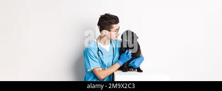 Bel giovane veterinario medico graffiare carino nero pug, animale domestico un cane, in piedi in scrub su sfondo bianco Foto Stock