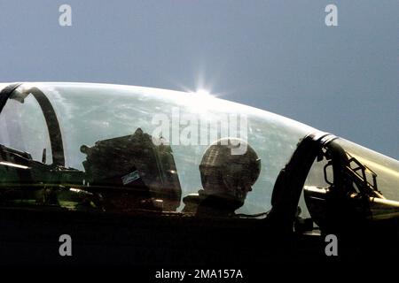 US Marine Corps (USMC) Major (MAJ) Matthew Shortal, Marine All-Weather Fighter Attack Squadron 225 (VMFA(AW)-225), Marine Forces Pacific (MARFORPAC), si prepara a prendere un taxi il suo F-14 lungo la Marine Corps Air Station (MCAS) Iwakuni, Giappone, linea di volo per volare alla base aerea di Eielson (AFB, Alaska), AK) Partecipare all'esercizio Northern Edge 2004 (NE04). Exercise Northern Edge 2004 (7-16 giugno 2004) è sponsorizzato dall'Area di responsabilità dell'Alaska ed è progettato per esercitare tattiche, tecniche, procedure, relazioni di comando e controllo congiunte e migliorare l'interoperabilità Foto Stock